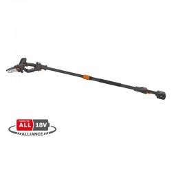 Scie de jardin sur perche Aspire PE5-P4A