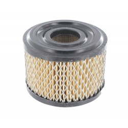 FILTRE A AIR BRIGGS