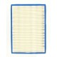 FILTRE A AIR BRIGGS