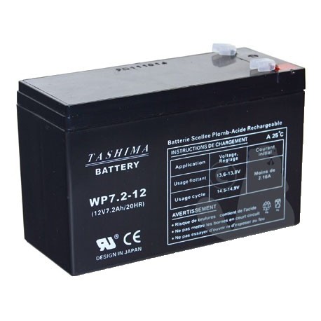 Batterie Nimh rechargeable pour lampe torche i9R