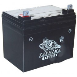 Batterie gel/agm 100% étanche 12V, 22A pour autoportée. L: 195,l: 130, h: 180, + à gauche.