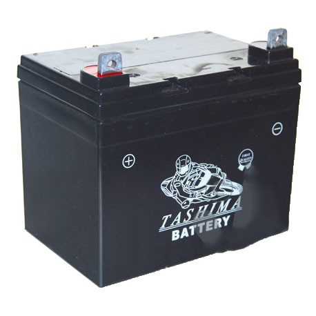 Batterie gel/agm 100% étanche 12V, 22A pour autoportée. L: 195,l: 130, h: 180, + à gauche.