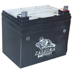 Batterie gel/agm 100% étanche 12V, 22A pour tondeuse autoportée. L: 195, l: 130, h: 180, + à droite.