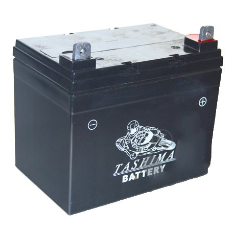 Batterie gel/agm 100% étanche 12V, 22A pour tondeuse autoportée. L: 195, l: 130, h: 180, + à droite.