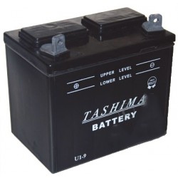 Batterie pour tondeuse autoportée 12V, 24A. L: 195, l: 130, H:185mm, + à gauche. (livrée sans acide).