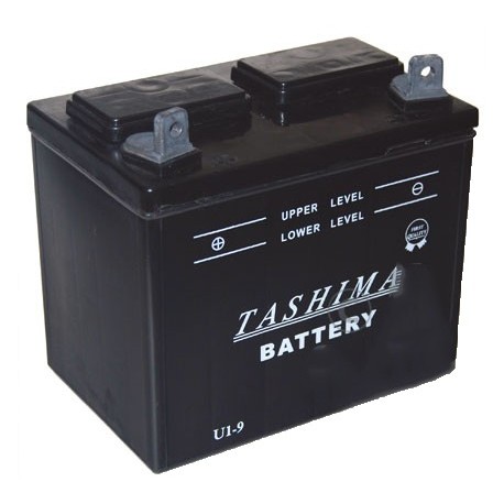 Batterie pour tondeuse autoportée 12V, 24A. L: 195, l: 130, H:185mm, + à gauche. (livrée sans acide).