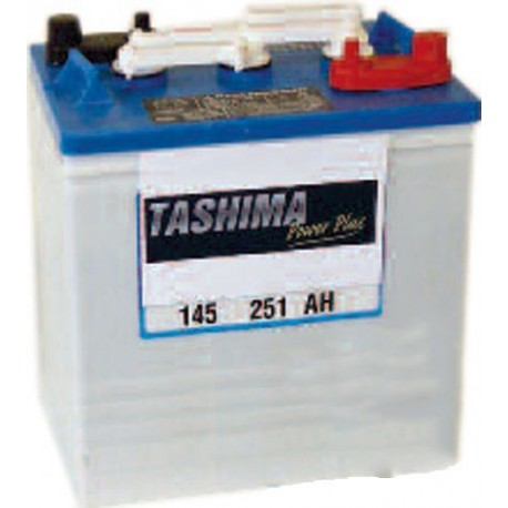 Batterie de traction 6V, capacité 199 AH5H pour véhicules de golf, transporter, utilitaire.