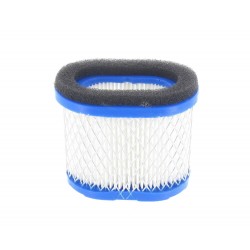 FILTRE A AIR BRIGGS