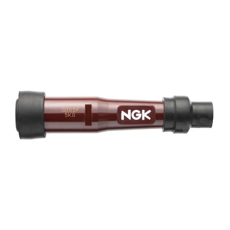 Antiparasite NGK droit