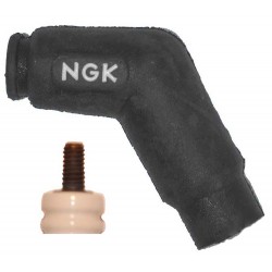 Antiparasite NGK